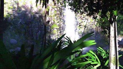 La forêt amazonienne