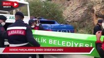 Derede parçalanmış erkek cesedi bulundu