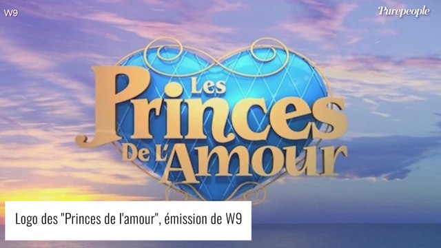 Les Princes de l'amour : Une candidate fait une nouvelle fausse couche, Je ne l'aurais jamais su si...