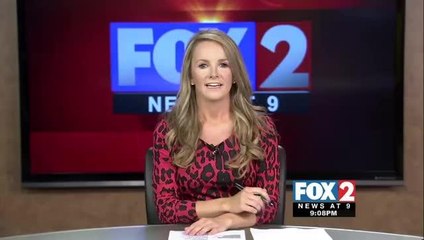 Two-Month Long Amnesty Period to Begin in San Juan