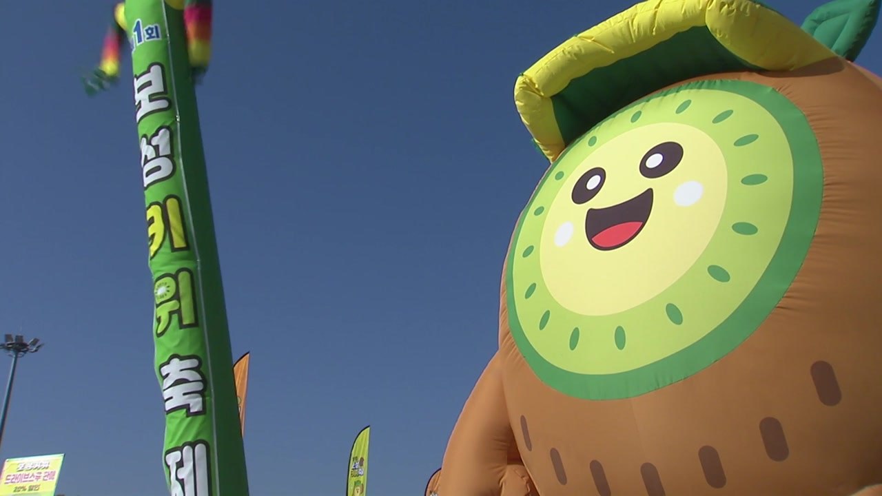 키위 주산지 전남 보성에서 전국 첫 '키위 축제' / YTN