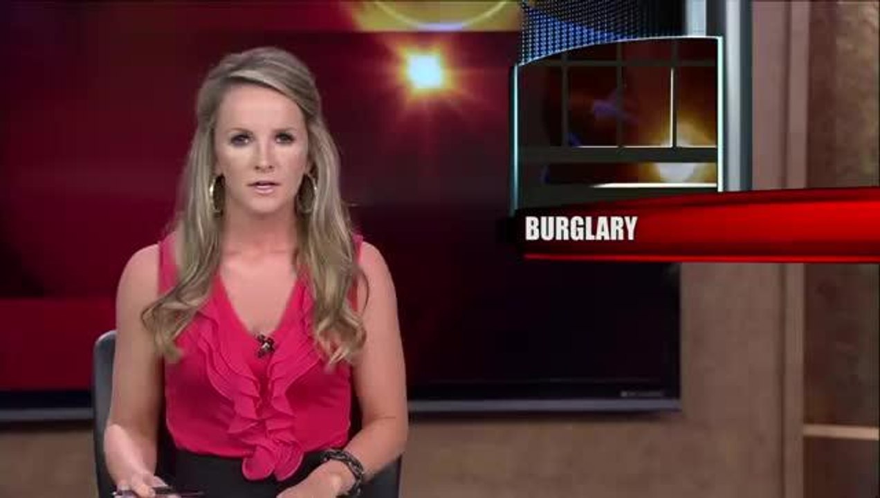 Surveillance Footage Captures Restaurant Burglary