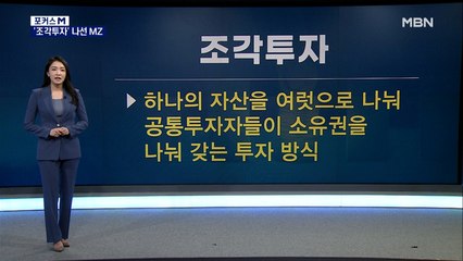 [포커스M] MZ세대 휩쓴 '조각투자'…투자자 보호는 '글쎄'