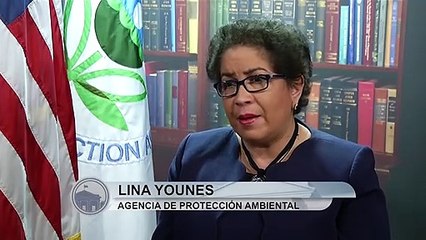 Noticias Univision Washington con Tsi-tsi-ki Félix