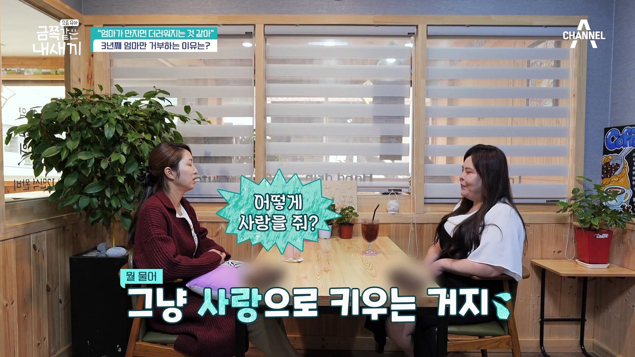 두 번의 유산으로 마음의 짐을 안고 있는 금쪽이 엄마, 그리고 그 아픔을 알아챈 오 박사