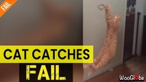 'California woman finds out the hard way that cats don't always land on their feet '