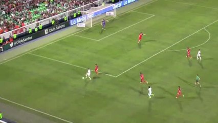 Técnicos novatos en la Liguilla por el título