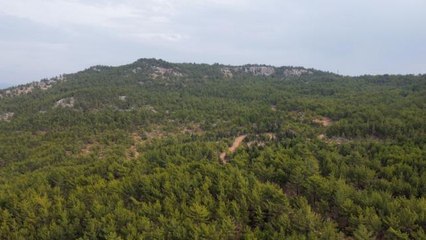 Başkan Ünüvar: "İp uçları mutlaka var. Devletimiz bu olayı aydınlatacaktır"