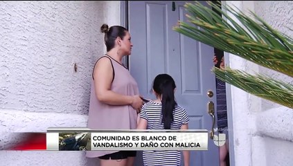 Casas son atacadas con huevos