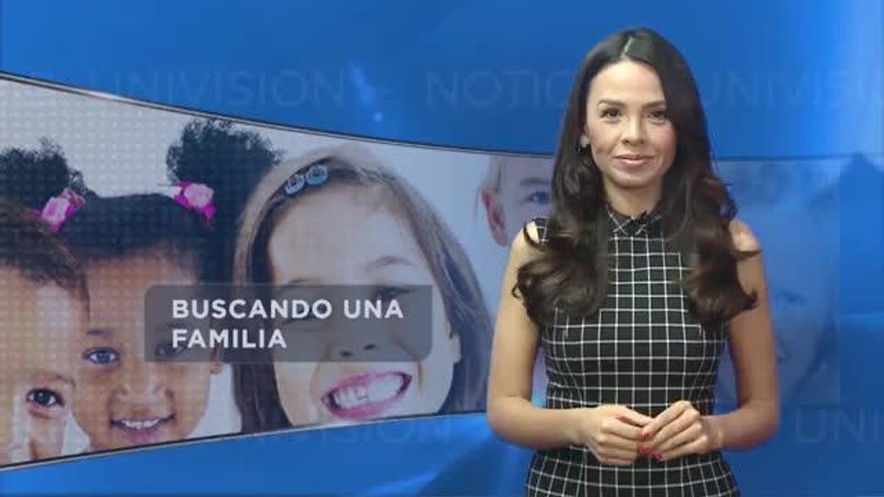 Buscando una familia