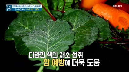 암 예방 위해 ○○ 채소 섭취하라? 똑똑하게 채소 먹는 법