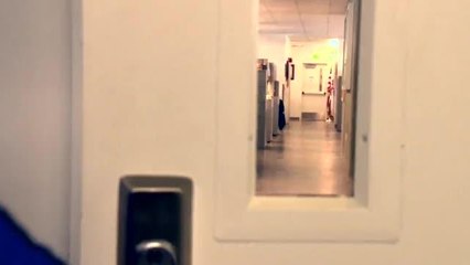 Terror en la oficina: parte II