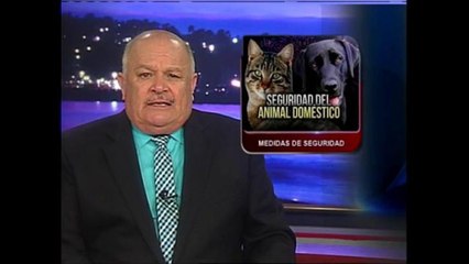 Refugio para animales en la ciudad de Santa María está prestando jaulas para las mascotas para que n