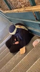 SOSYAL MEDYADA TARTIŞILAN DİLENCİ GÖRÜNTÜSÜ