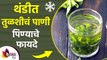 थंडीत तुळशीचं पाणी पिण्याचे फायदे | Benefits of Drinking Tulsi Water in Morning | Winter Health Care