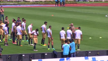 ¿Se le viene la noche a los felinos?