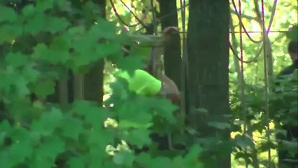 Accidente en tirolesa