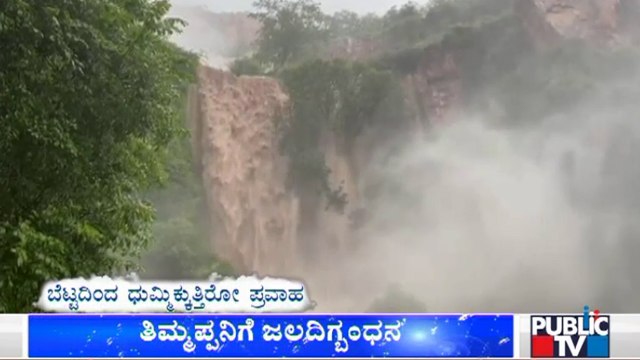 Havoc In Tirupati As Heavy Rains Flood Many Areas, Vehicles Submerged