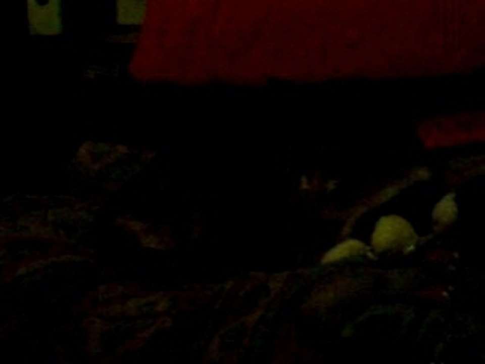 Minette plays, ..