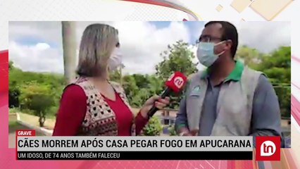 Cães morrem após casa pegar fogo em Apucarana; veja