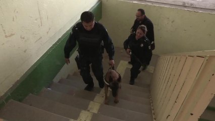 ALERTA ATENTADOS ESCUELAS