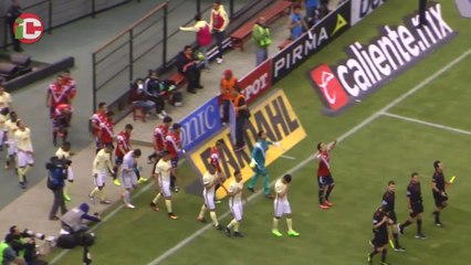 El nido se cae a pedazos