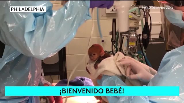 Noticias Wichita 10pm 011821