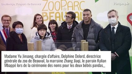 Kylian Mbappé avec des bébés pandas : photos de la rencontre improbable (et adorable!)