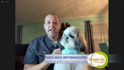 Despierta Orlando 011521 - Alex y Logan