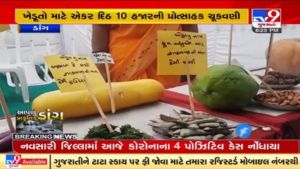 Gujarat govt allocates 31 crores for herbs and pharmacy sector of Dang _ TV9News