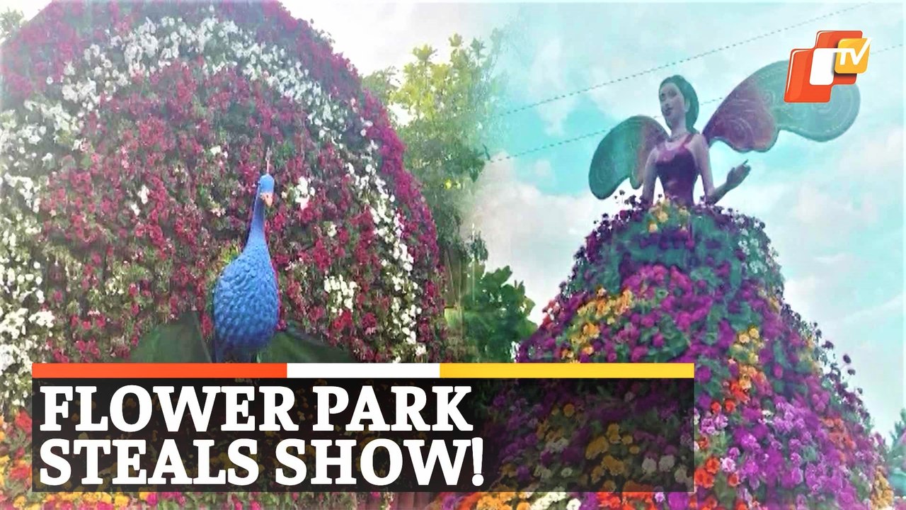 Mesmerizing Flower Park A Treat For Tourists!
