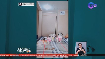 Mga cute na aso, kumasa sa Don't Eat Challenge | SONA