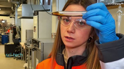 Los árboles pueden ayudar a construir una Europa más sostenible