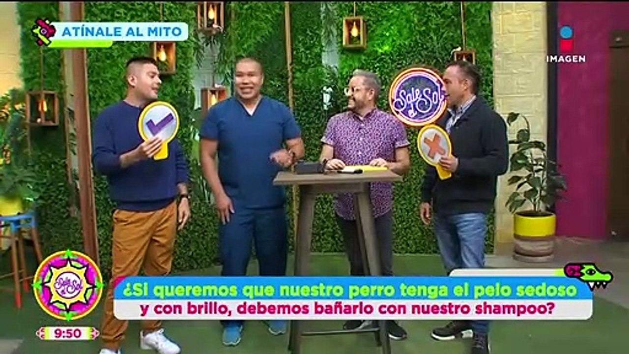 ¿Los gatos no necesitan bañarse con agua y jabón?