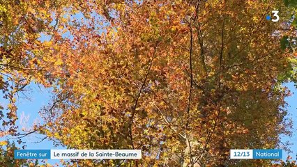 Var : le massif de la Sainte-Baume, un écrin de beauté et de spiritualité