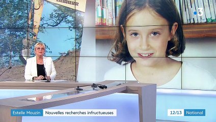 Disparition Estelle Mouzin : les nouvelles fouilles pour retrouver son corps ont été infructueuses