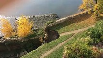 Un pan de berge s'est effondré sur une cinquantaine de mètres quartier Mangin sur l'île de Nantes.