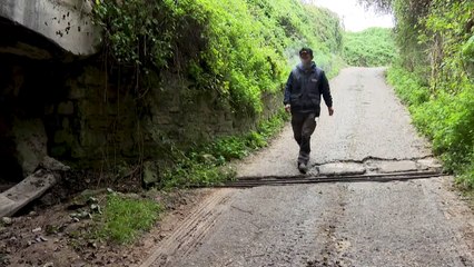 Les producteurs de champignons de Paris luttent pour leurs traditions