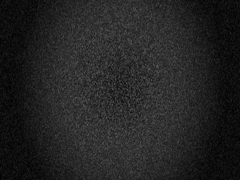 Get Your Freaks Out - Wollongong