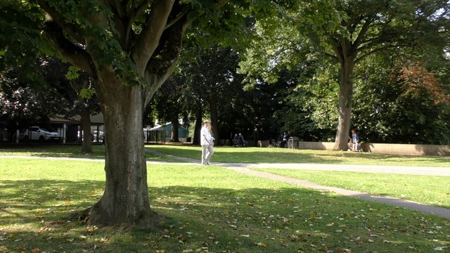 Campaigners rejoice as Tonbridge council rejects the sale of popular green space