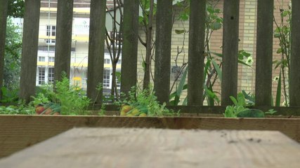 Tunbridge Wells charity open new garden to improve mental health