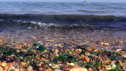 Herne Bay Group launch petition after sewage spills plague beaches