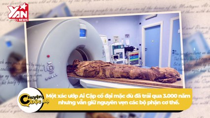 "Vén màn" bí ẩn xác ướp phụ nữ 3.000 năm tóc vẫn đen mượt, giữ nguyên nếp tạo kiểu | Điện Ảnh Net
