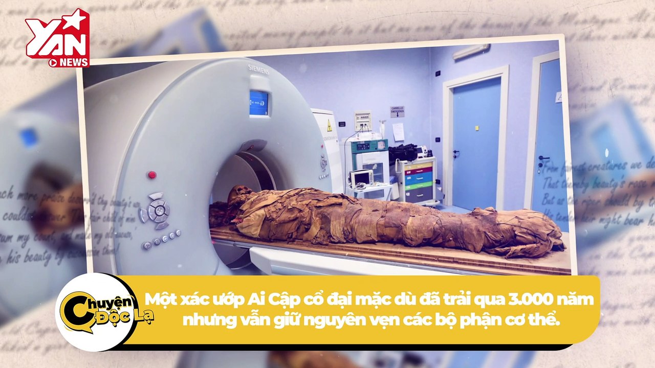 "Vén màn" bí ẩn xác ướp phụ nữ 3.000 năm tóc vẫn đen mượt, giữ nguyên nếp tạo kiểu | Điện Ảnh Net