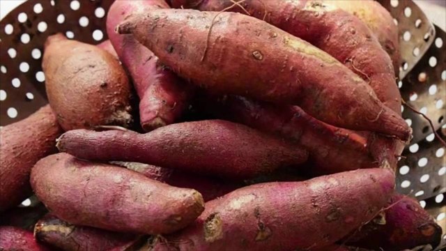 Ina Garten Just Shared Her Easy, Make-Ahead Tip for the Creamiest Thanksgiving Sweet Potat