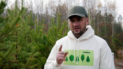 Un milliard d'arbres en trois ans : le rêve boisé de l'Ukraine