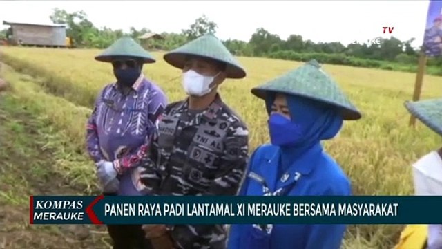 Panen Raya Padi Lantamal XI Merauke Bersama Masyarakat