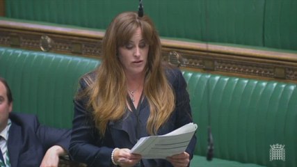 Kelly Tolhurst presents petition against Deangate development in parliament