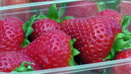 A new Kent strawberry variety is set to hit the market