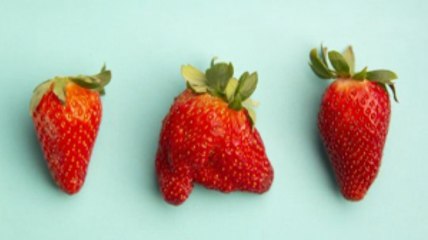Can Buying ‘Ugly’ Produce Help the Environment?